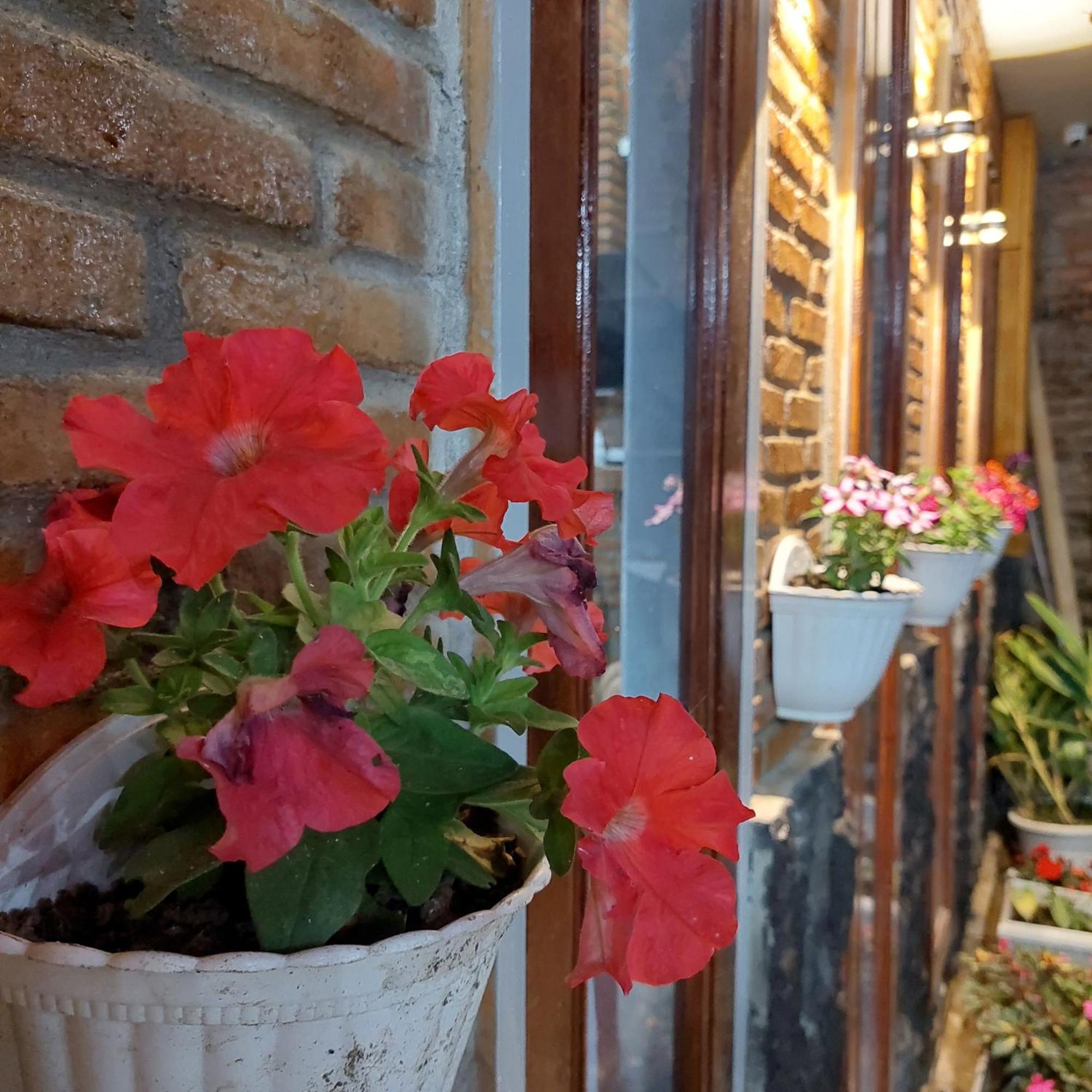 Sapo Rumbia Berastagi Habitación foto